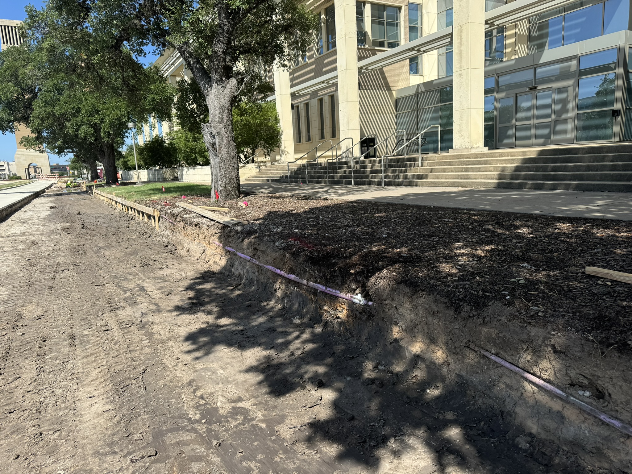 Unprotected trees during construction