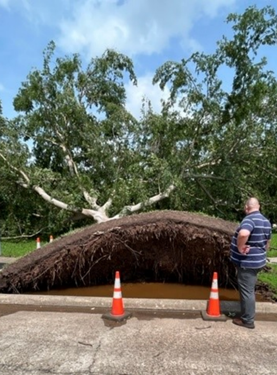 Photo: Wilfredo Nunez